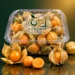 خرید فیسالیس تازه