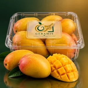 خرید انبه تازه گرامیس